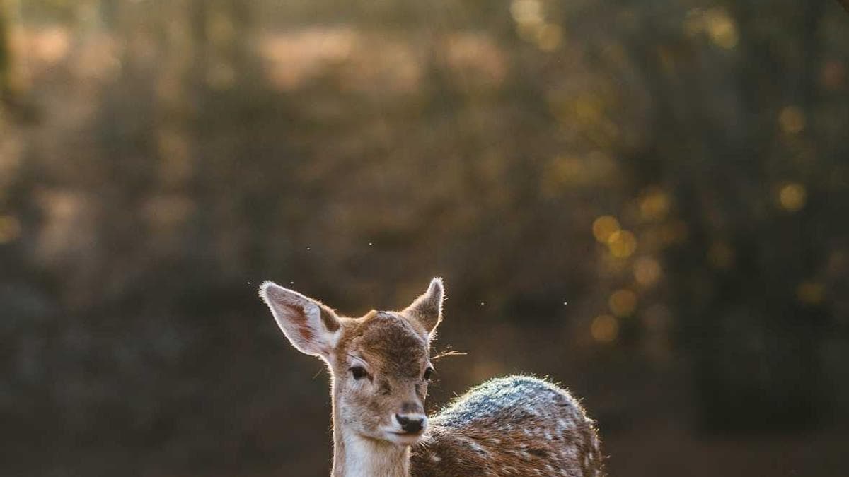 30일 성장 플래너 (전체 PDF)
